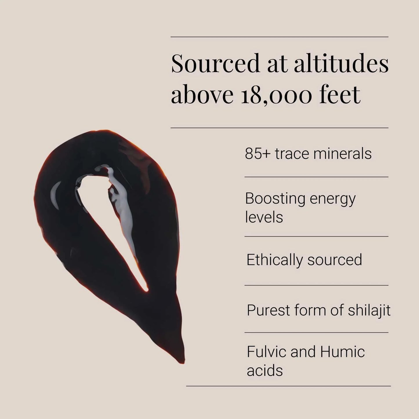 Himalaya Shilajit Harz - 30g