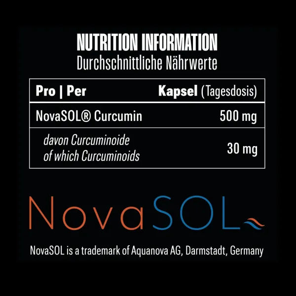Big Zone NovaSol® Curcumin (90 Liquid Kapseln)