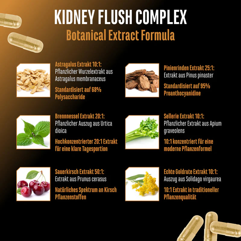 GEN - Kidney Essentials 270 Caps