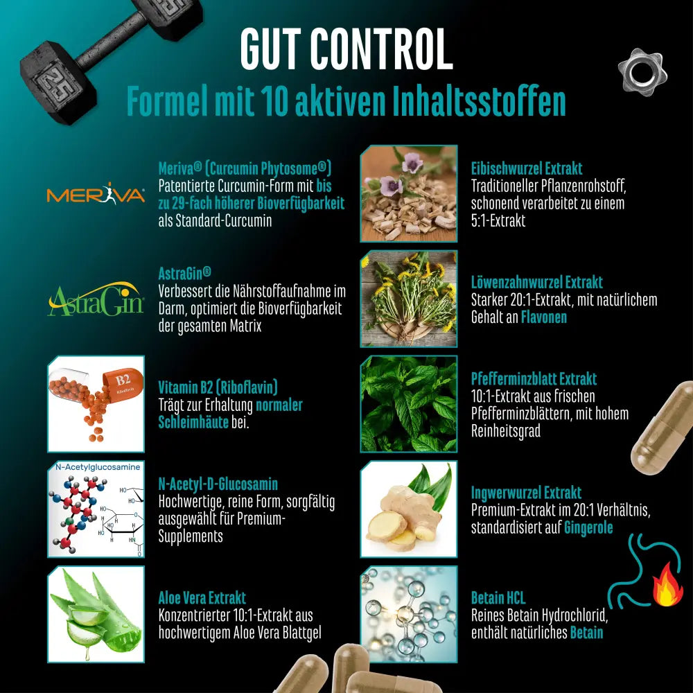 GEN Gut Control, 120 Kapseln