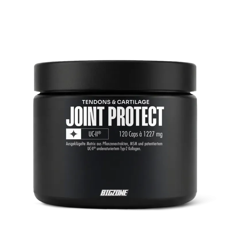 Big Zone Joint Protect 2.0 (120 Kapseln)