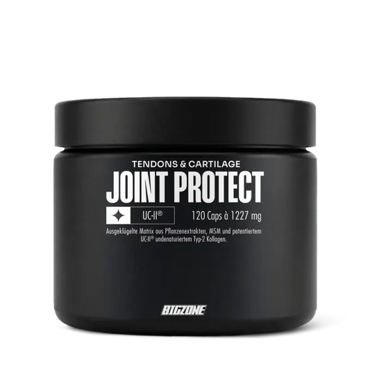 Big Zone Joint Protect 2.0 (120 Kapseln)