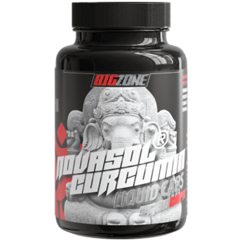 Big Zone NovaSol® Curcumin (90 Liquid Kapseln)